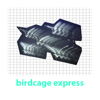 birdcage-01