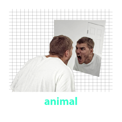 animal-01